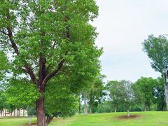 -盘龙城遗址博物院