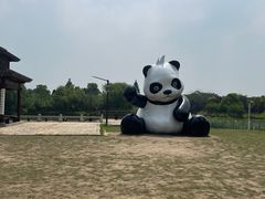 -苏州太湖国家湿地公园