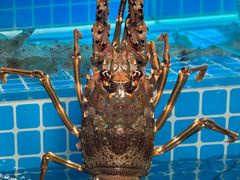 -汕头龙光喜来登酒店