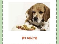 -派联宠物医院·24h·CT·异宠