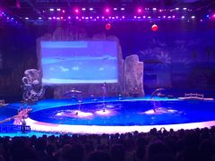 -华夏文旅海洋公园