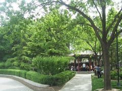 -西海子公园