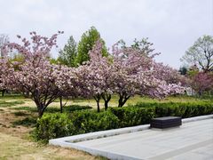 -莱西月湖公园
