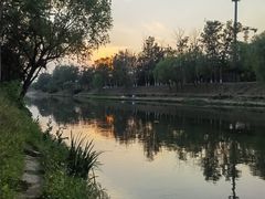 -坝河休闲公园