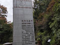 -南山植物园