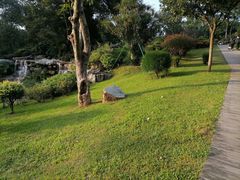 -东莞植物园