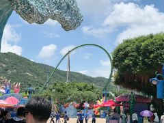-鹦鹉过山车