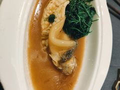 -沈灶河豚宴·河豚融合餐厅(汉中路店)
