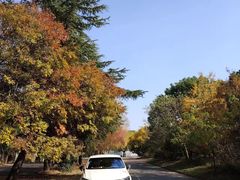 -胜华驾校·小猫学车(银都店)