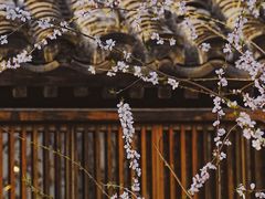 -三里河公园