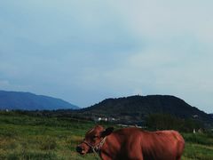 -四明湖
