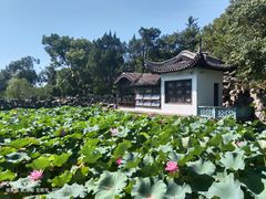 -无锡蠡湖国家湿地公园-蠡园