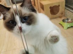 -唯美宠物生活馆(绿地国际生态城店)