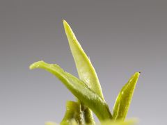 -张一元(世纪金源购物中心东区店)