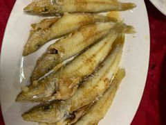 -蛇口康乐快餐鱼仔档(翠苑小区店)