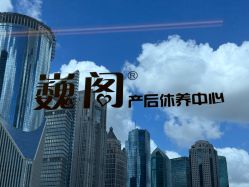 -巍阁高端月子会所