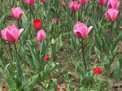 -长春公园(普阳街道)