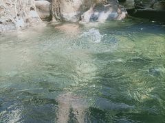 -仁爱团泊湖温泉中心