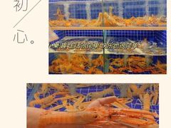-欧记·龙城港(欣都龙城店)
