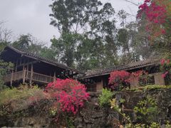 -深圳国际园林花卉博览园