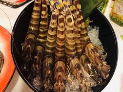 -鲜入围煮花胶鸡海鲜火锅