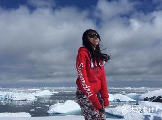什么时候可以再去南极旅行？