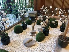 -天津东丽湖恒大酒店-温泉自助餐厅