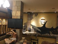 -信不信由你博物馆