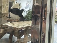 -无锡动物园·太湖欢乐园