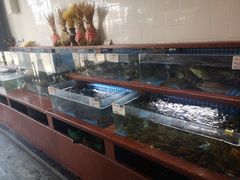水产区-付家大院(华丰店)