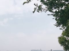 -游心咖啡(青山滨江店)