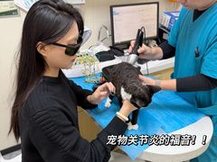 -美联众合爱康动物医院•复杂内科•肿瘤科•牙科•腔镜诊疗中心