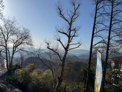-莫干山风景区