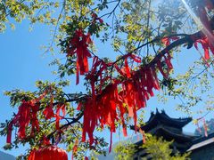 -冕宁灵山寺
