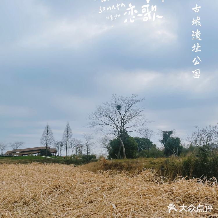 杭州小奈良 | 良渚古城遗址公园