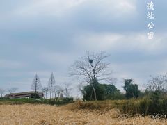 -良渚古城遗址公园