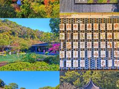 -云溪植物园