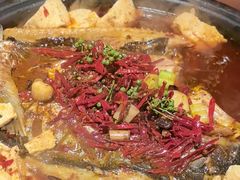 -探鱼·鲜青椒爽麻烤鱼(广州花都来又来店)