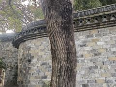 -乌镇东栅景区
