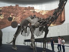 -中国港口博物馆