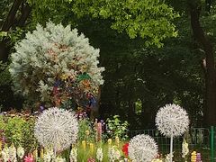 -上海共青森林公园