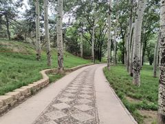 -元大都城垣遗址公园