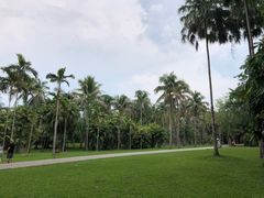 -中国科学院西双版纳热带植物园