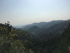 -木兰云雾山