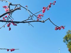 -宁波市保国寺古建筑博物馆