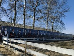 -北京群众马术培训基地