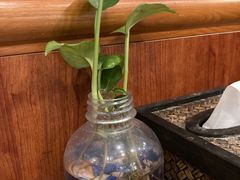 -荷花泰菜(东方新天地店)