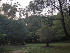 -东湖落雁景区