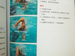 -福田体育公园游泳馆