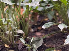 -南山风景名胜区